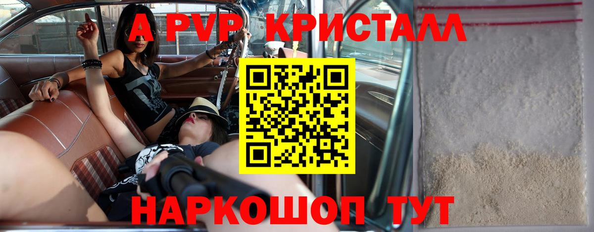 A PVP СК КРИС Муравленко