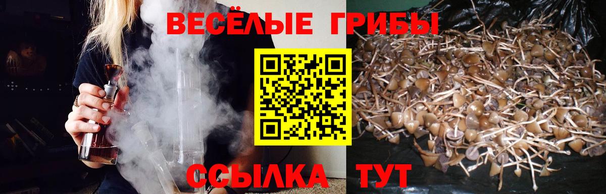 Муравленко  хочу наркоту  Псилоцибиновые грибы GOLDEN TEACHER  Вход с VPN  Галлюциногенные грибы мицелий 